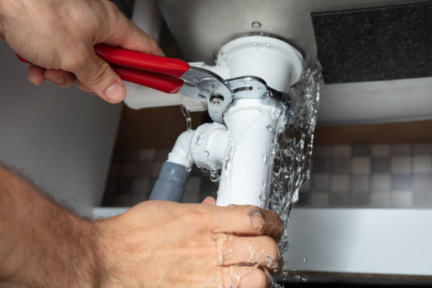 Best Carpet water damage restoration  in Mequon, WI