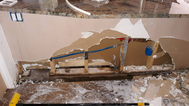 Best Flood damage cleanup  in Mequon, WI