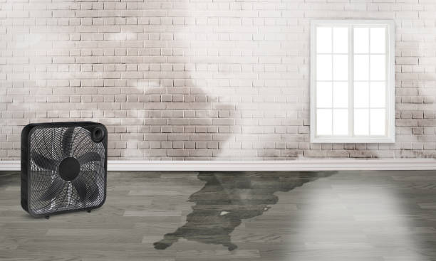 Best 24-hour water damage restoration  in Mequon, WI