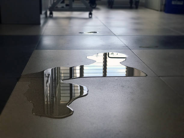 Best Flood restoration services  in Mequon, WI