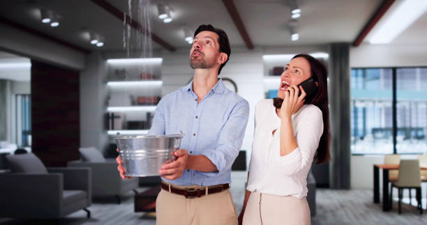 Reliable Mequon, WI Water damage restoration Solutions